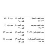 شلوار کارگو lululemon مستر کد0111 - تصویر 11